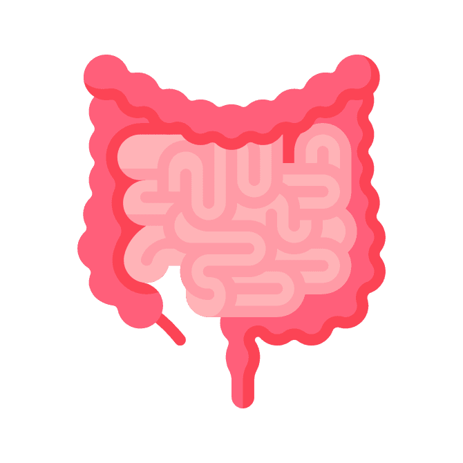 Gastrointestinal