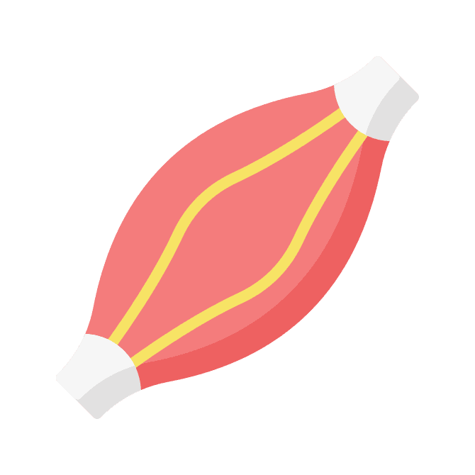 Musculoskeletal