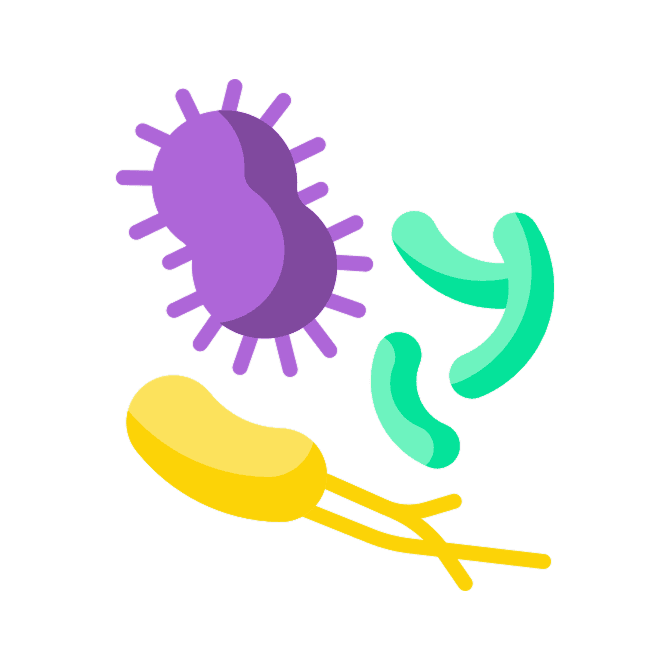 Antibiotics (basic)