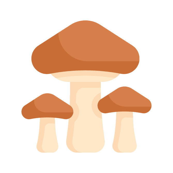 Anti-fungals